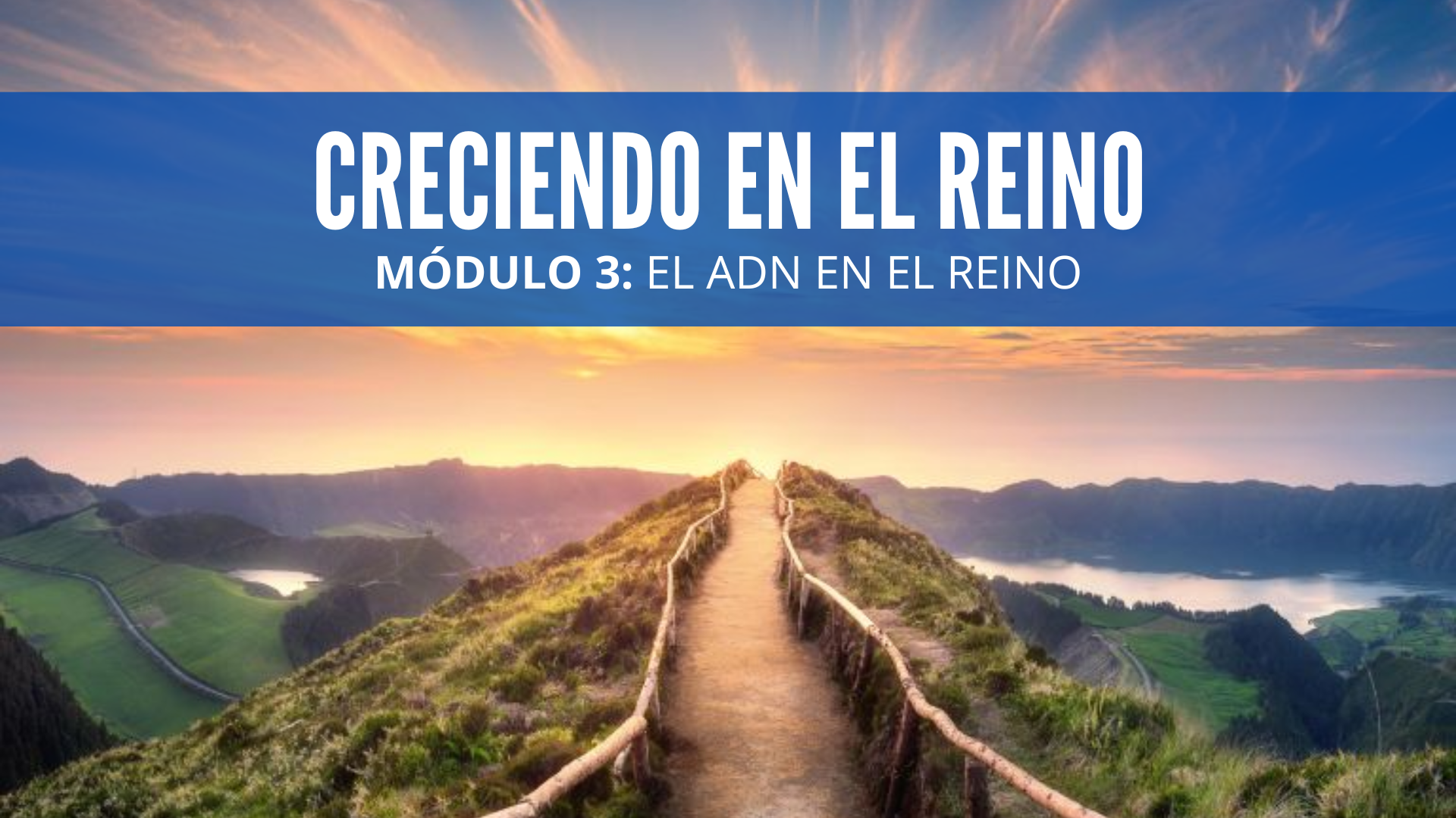 MODULO 3